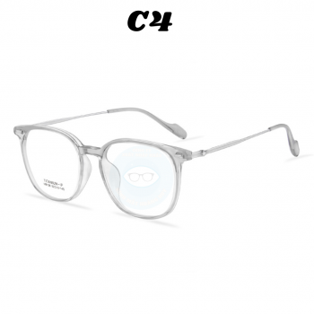 Gọng nhựa càng kính titanium mã 8138